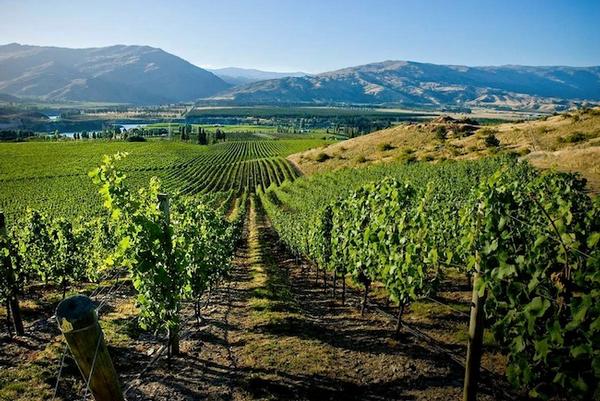 The stunning Central Otago wine region.
